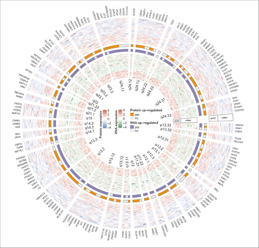 Vom Genotyp zum Phänotyp Onkologie Universimed Medizin im Fokus